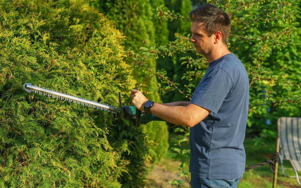 Jardinier HeroPlusService réalisant une taille de haies à Alger
